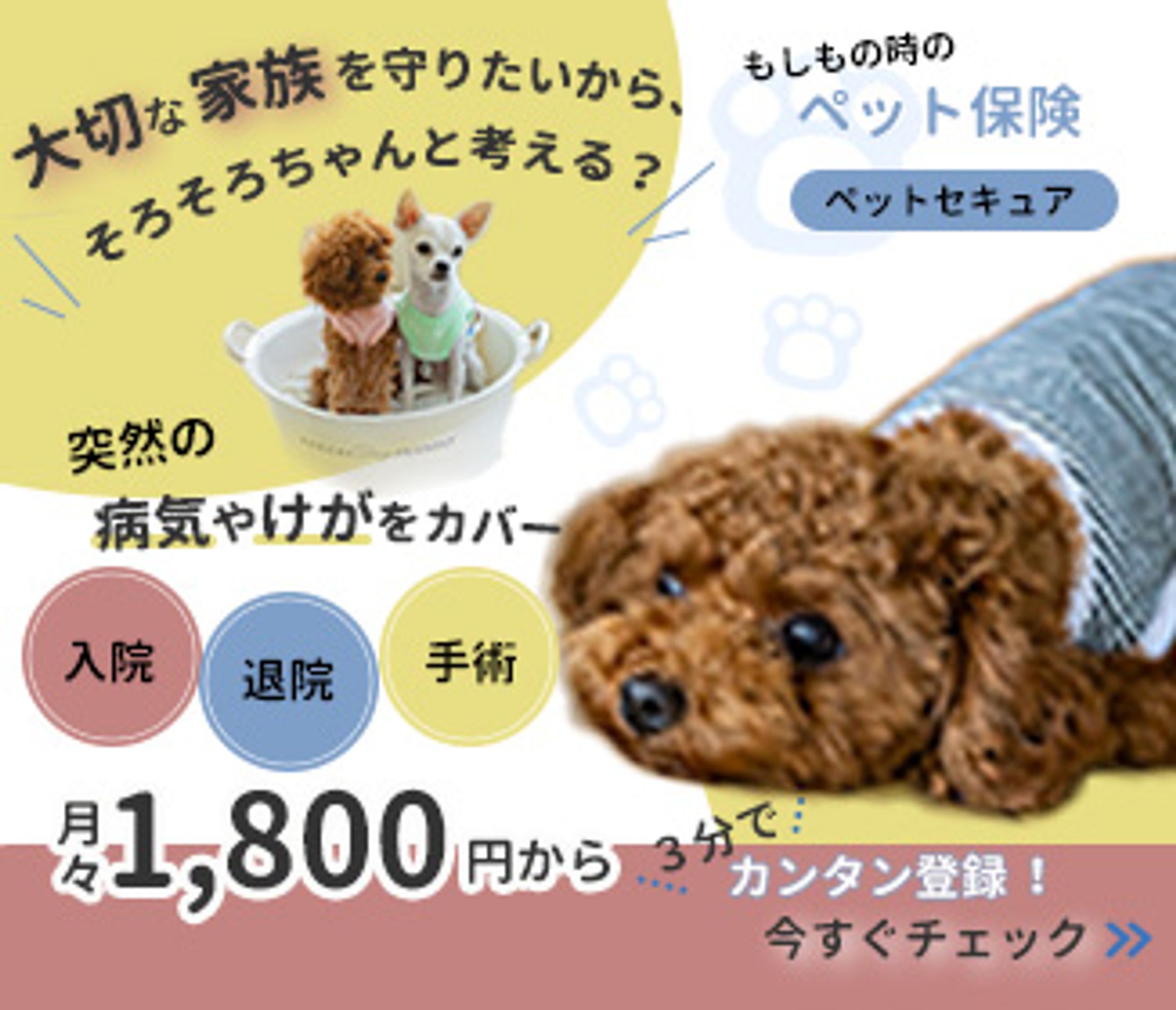 ペット保険　バナー-1