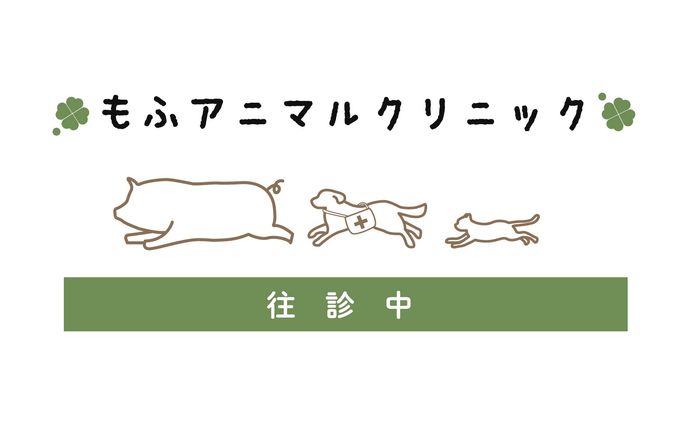 制作実績　もふアニマルクリニック様