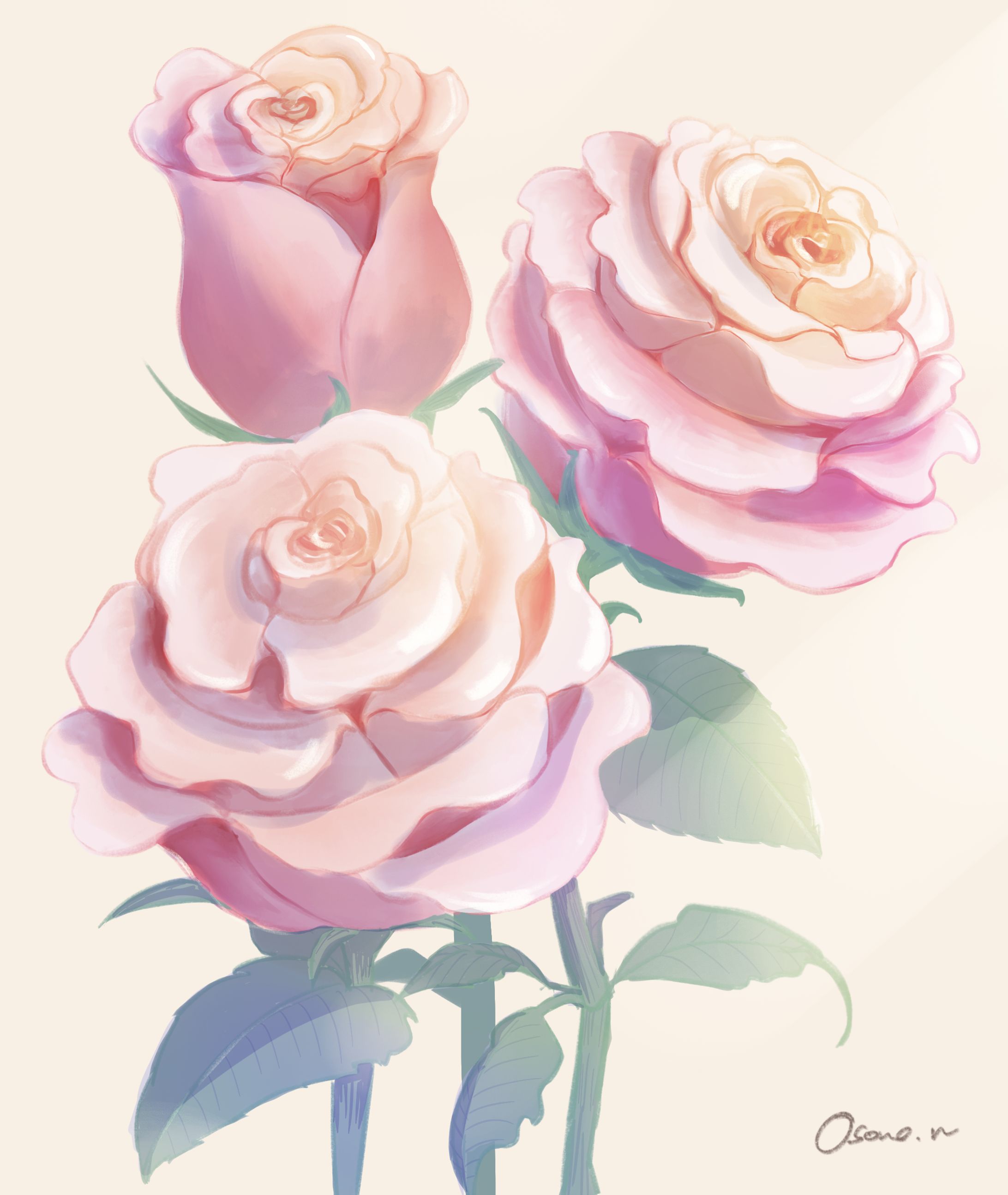 市の花・薔薇(イラスト公募/入選しました)-1
