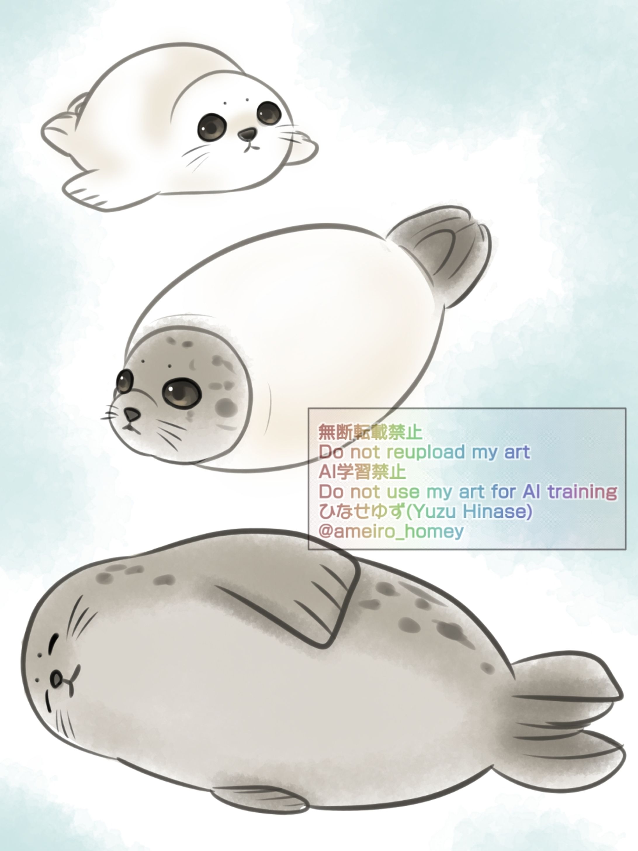 ゴマフアザラシいろいろ（ゴマフウイーク2026）-1