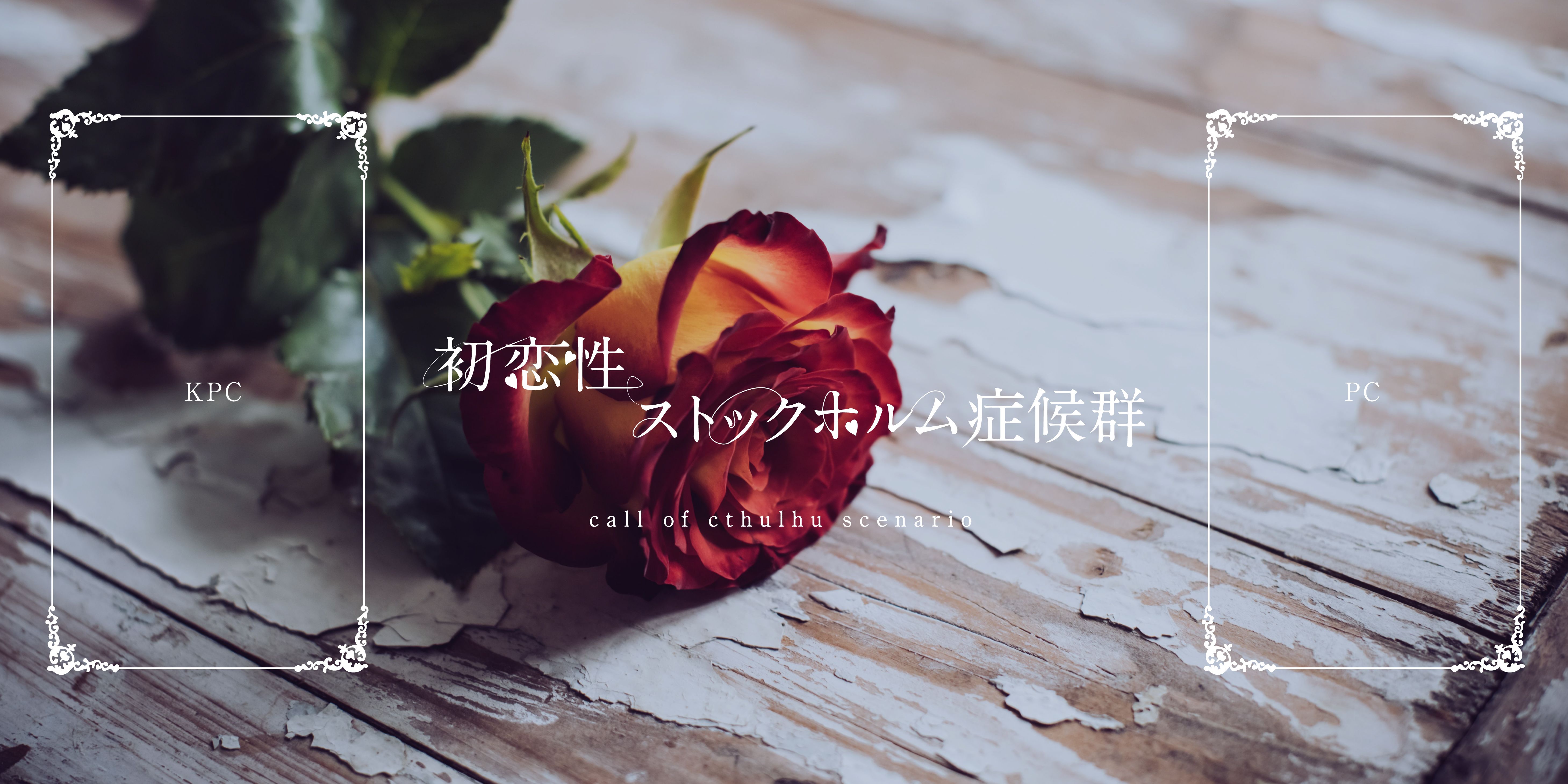 d80b7b6e83b70b9949bdabbb9e4c57