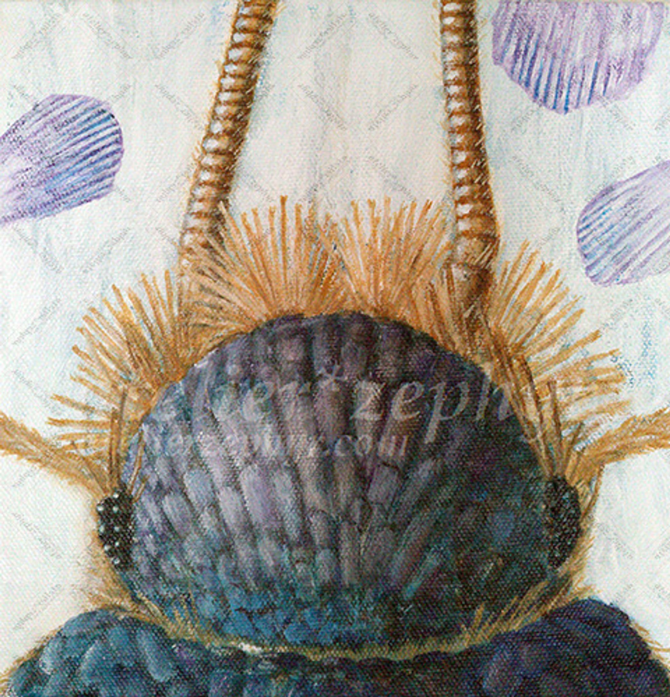 Silverfish-1
