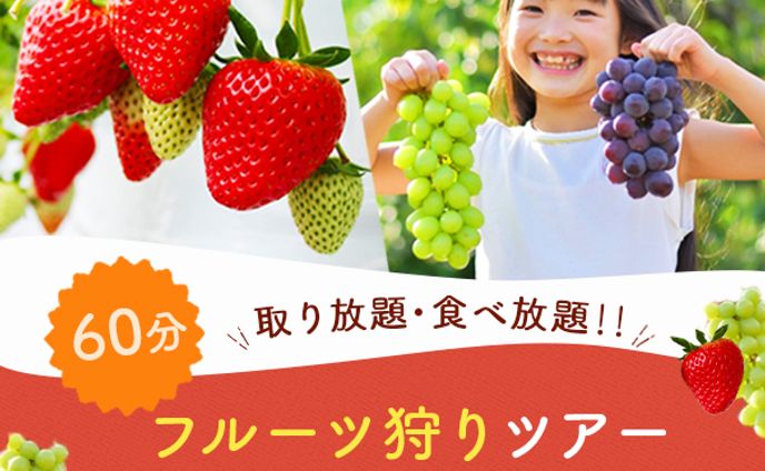 バナー：フルーツ狩り