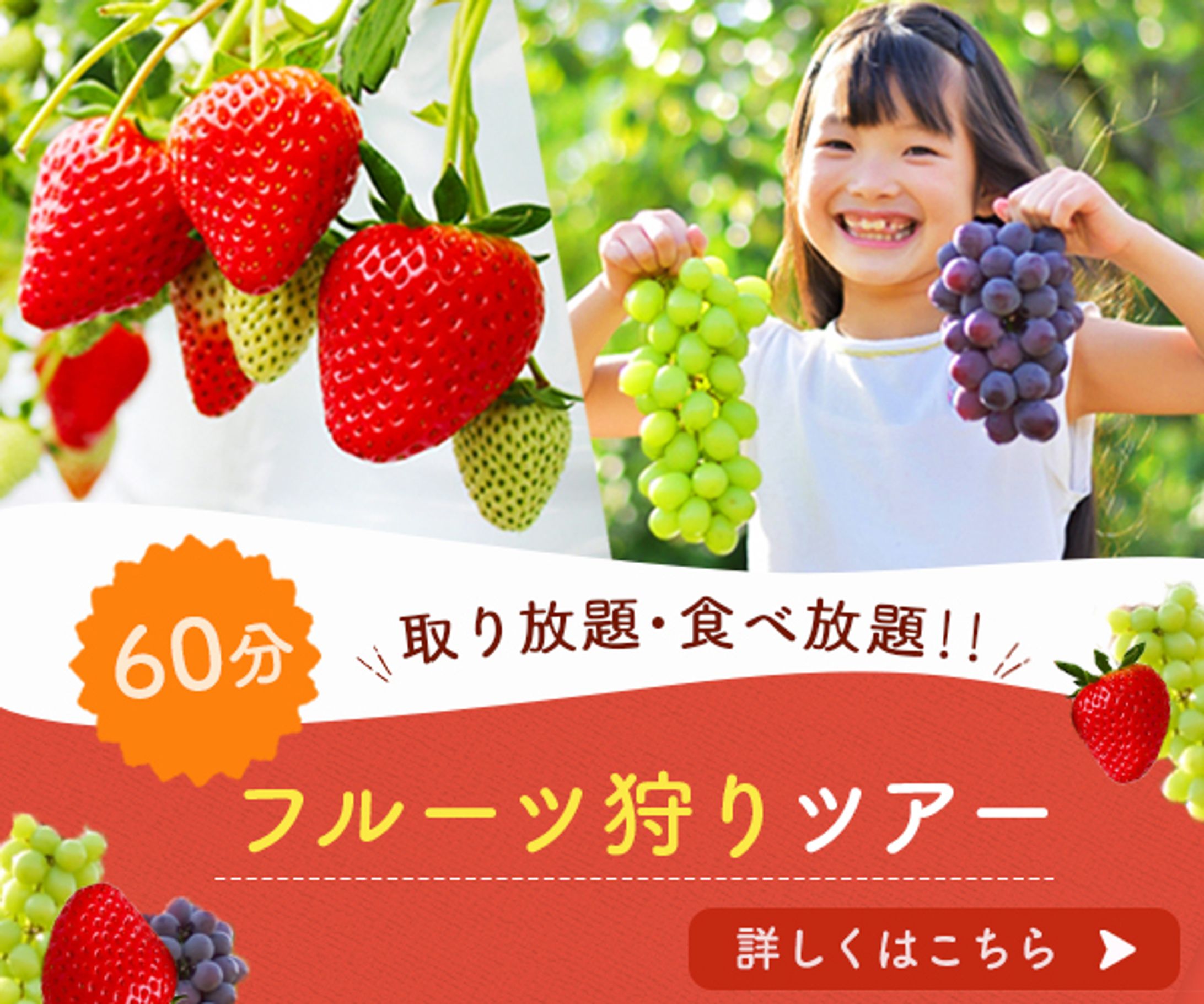 バナー：フルーツ狩り-1