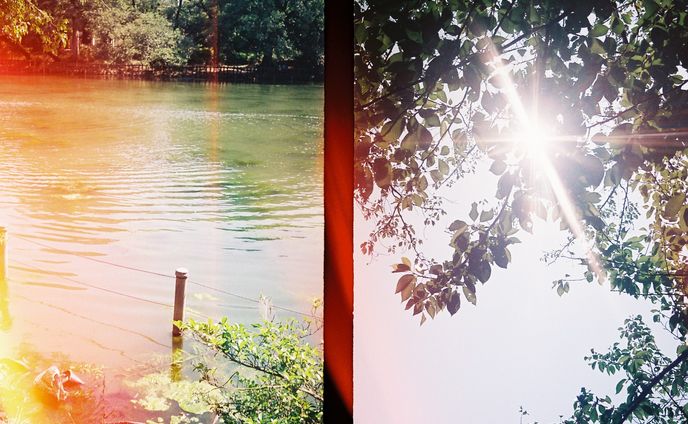 half camera photo