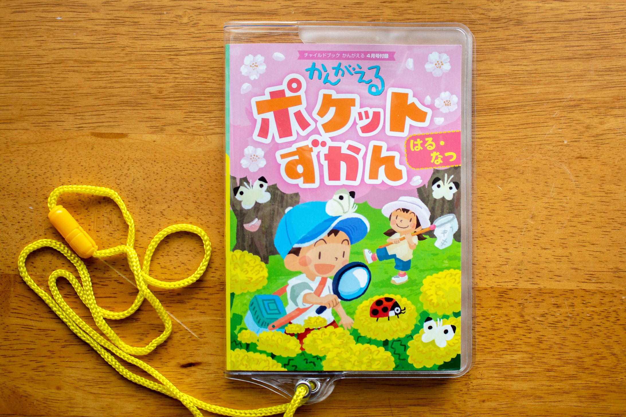 チャイルド本社様「かんがえるポケットずかん」の表紙-1