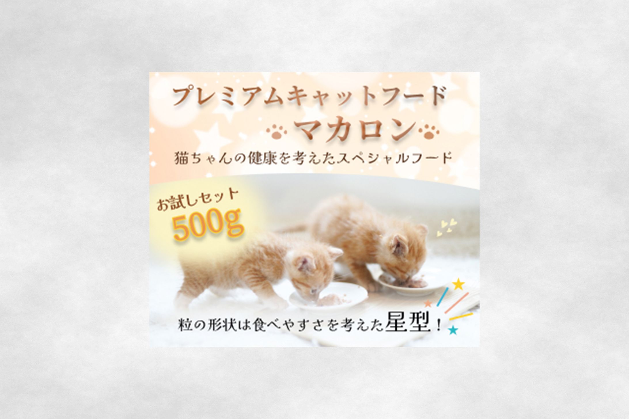♯バナー_キャットフード-1