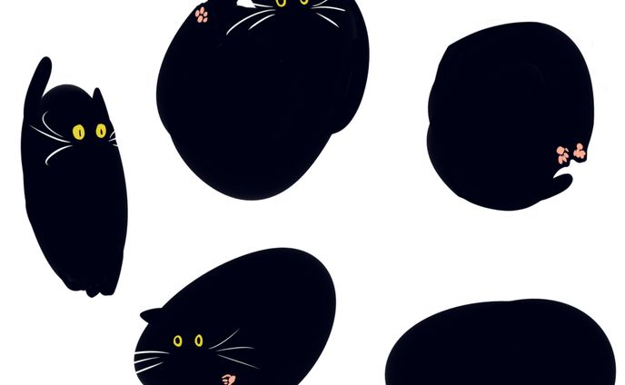 猫