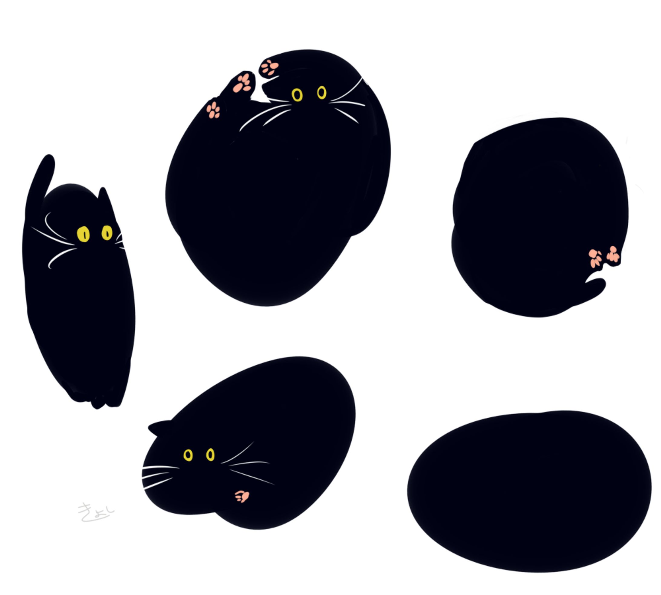 猫-1