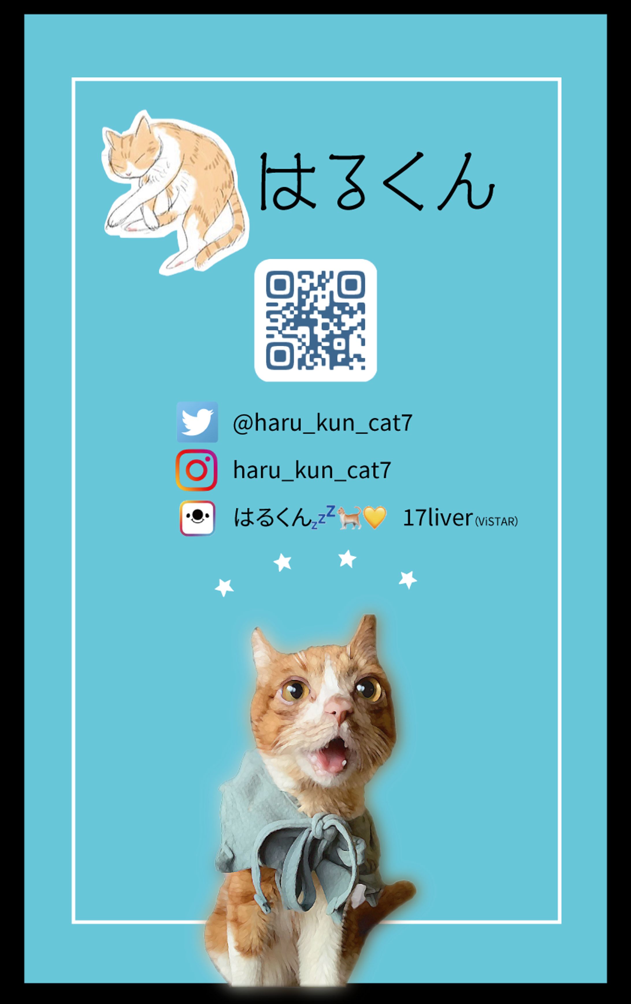 愛猫の名刺（はるくん）-1