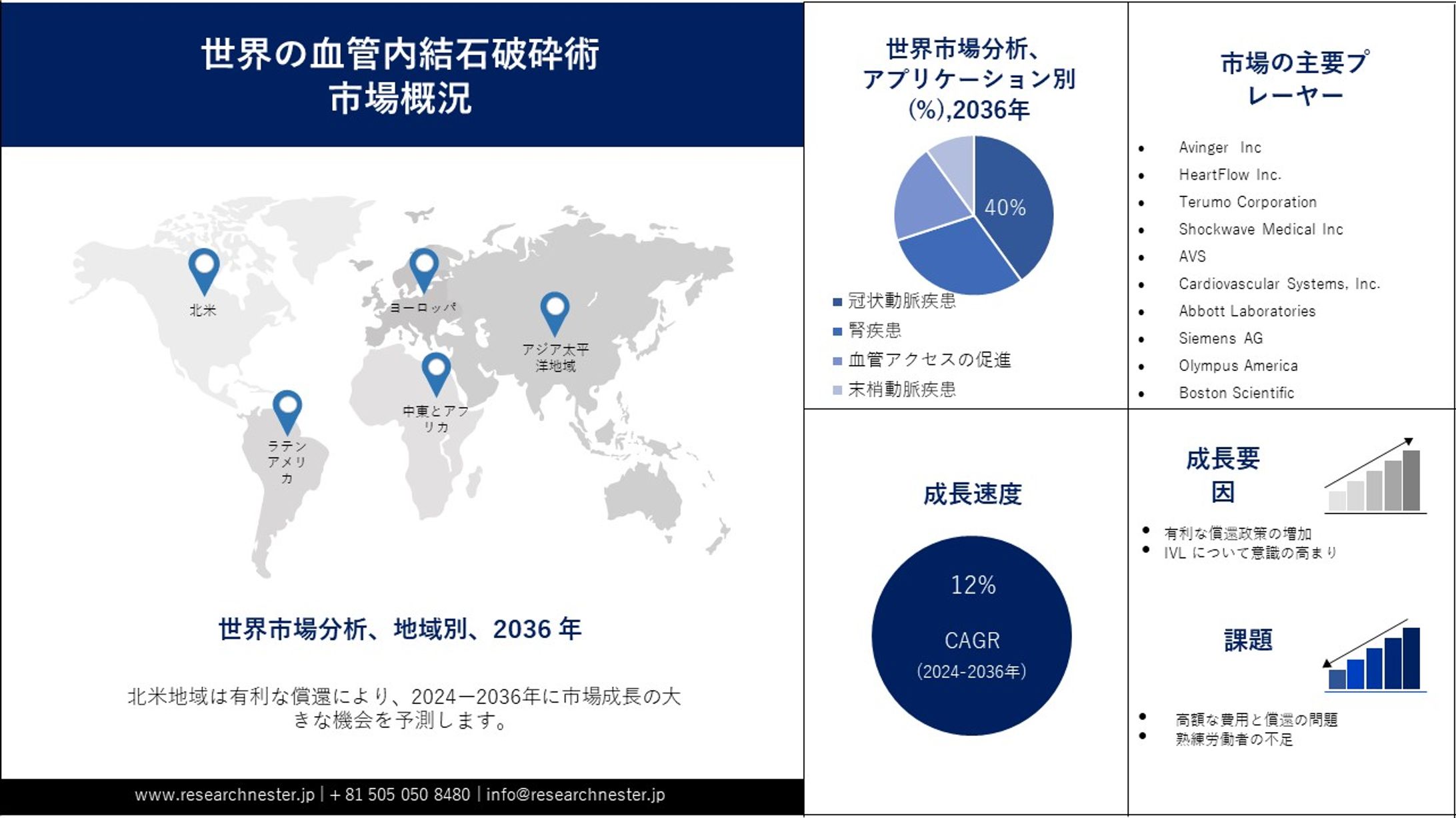 血管内結石破砕術市場：成長分析、トレンド、技術、規模、シェア、収益別 2024-2036 年-1