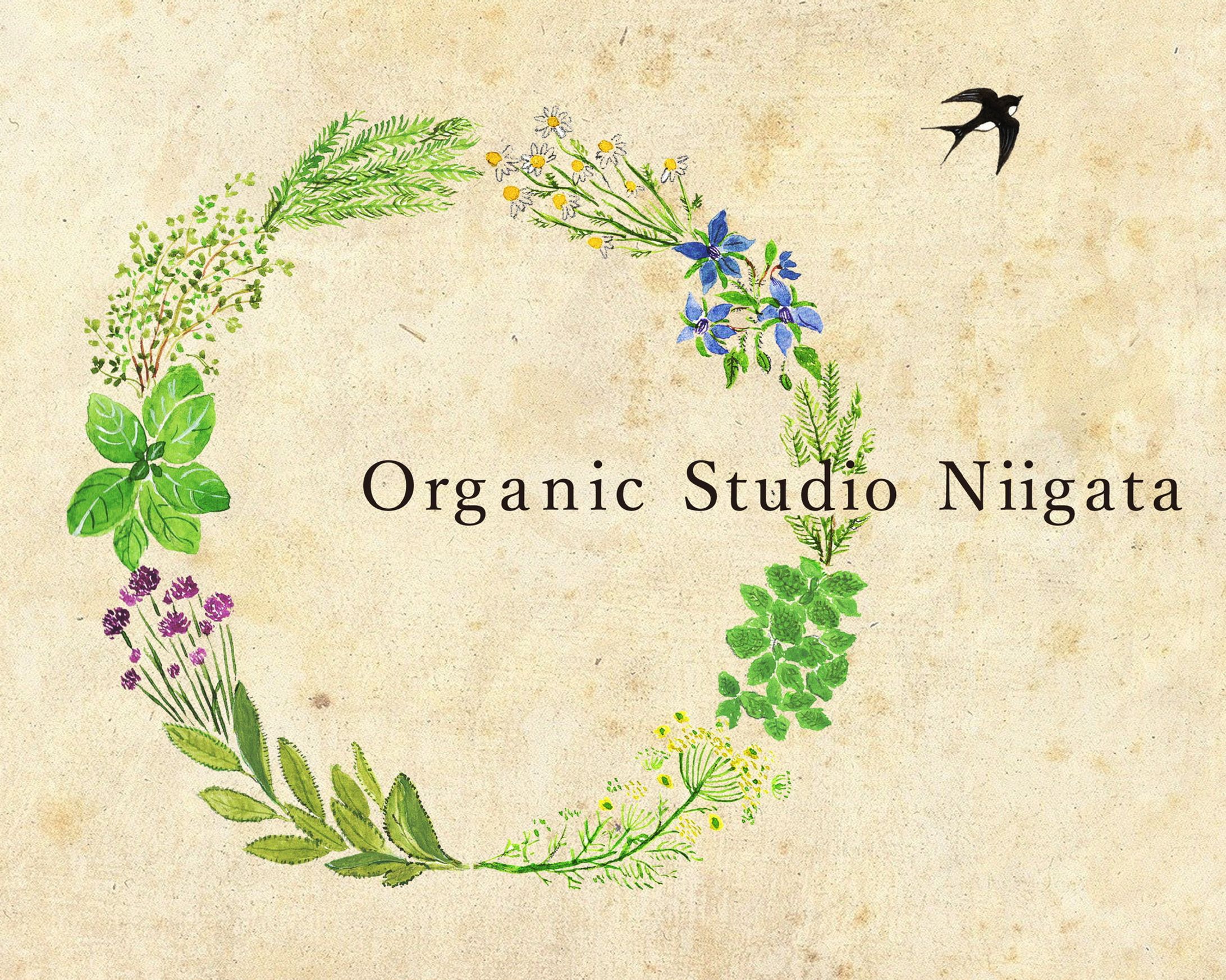 【ワインラベル】organic studio新潟 様-1