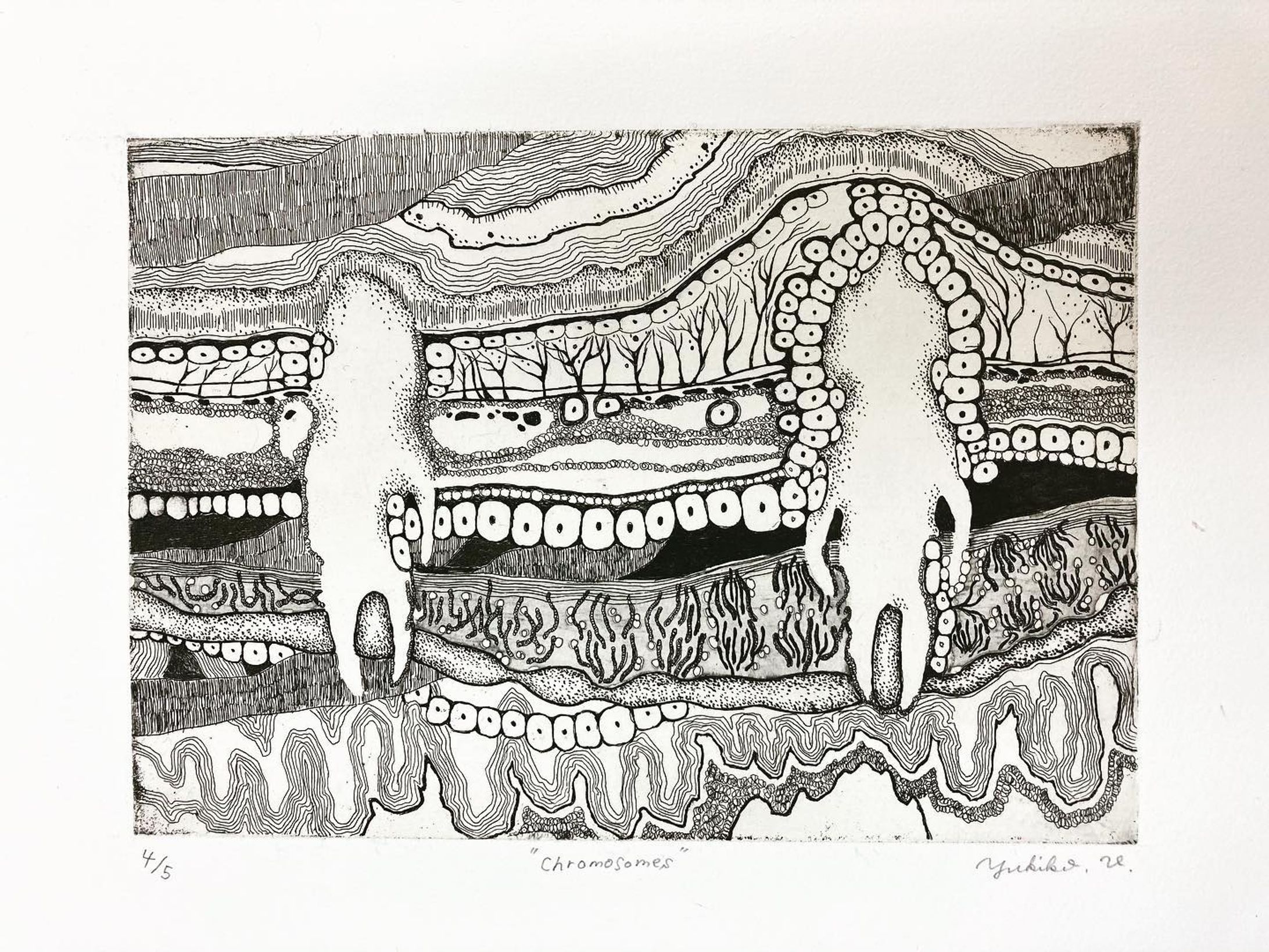 "chromosomes"
21㎝×15㎝

#銅版画
#染色体
#etching
#エッチング
#雁皮刷り
#comtenporaryart 
#artworks

アワガミは選外だったけど自分的にはやり切った作品だったので今回そらさんで発表することができて凄く嬉しいです☺️精進します🥳-1
