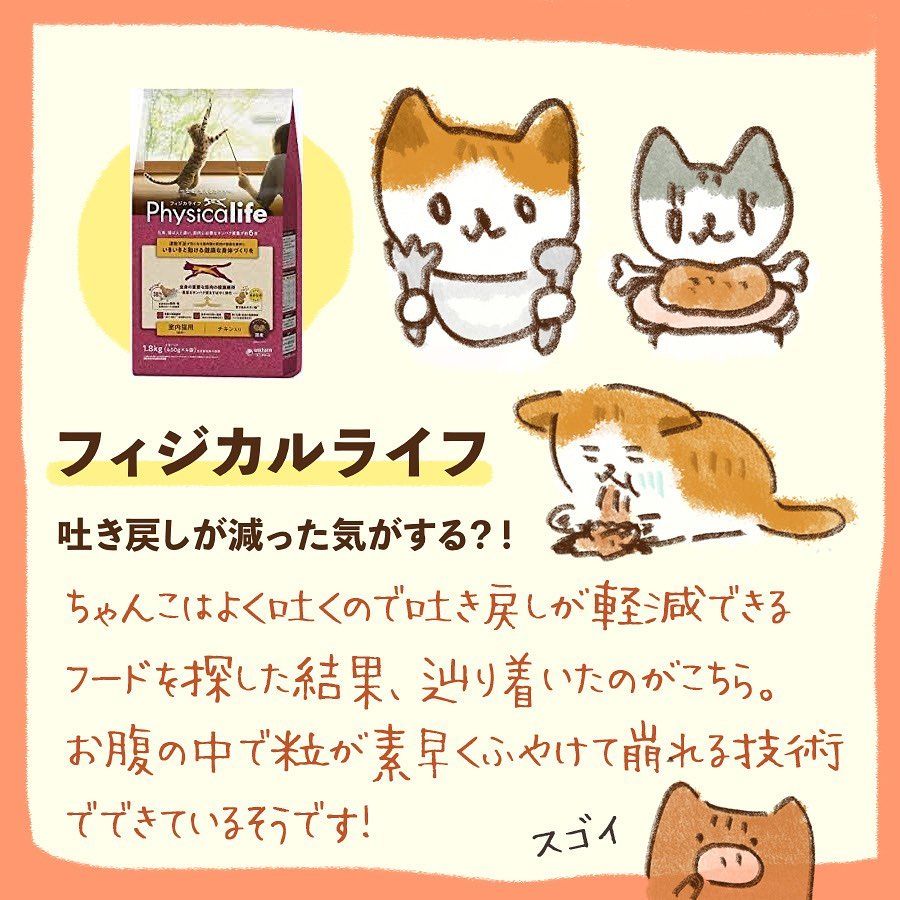 我が家の買ってみてよかった猫さまグッズでーす🐾 みんにゃのお家編も気になる…！🤔 来年も貢がせていただくぞ〜🤑 #茶白 #茶白猫 #キジ白 #サバ 白 #キジシロ#はちわれ #ヅラ猫 #にゃんすたぐらむ #ねこすたぐらむ #猫のいる暮らし #猫好きさんと繋がりたい #cat ...