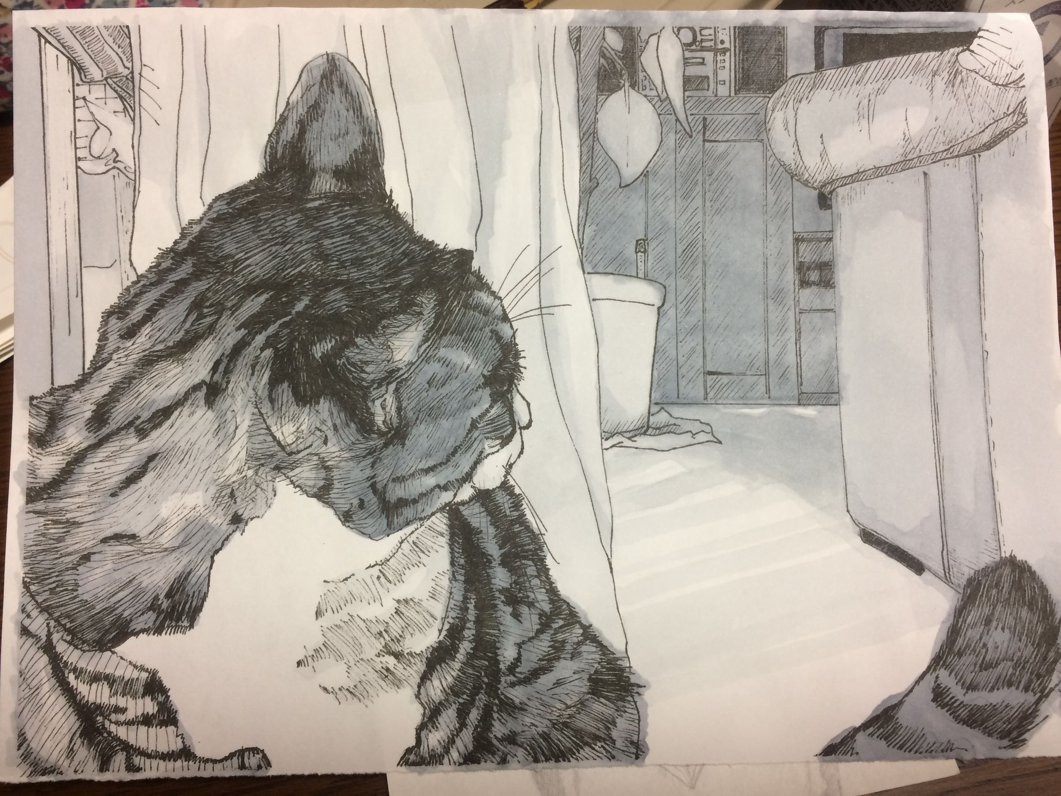 愛猫礼緒を描いたペン画-1