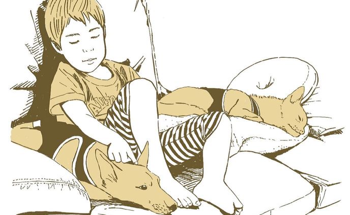 sdgs、うちの子