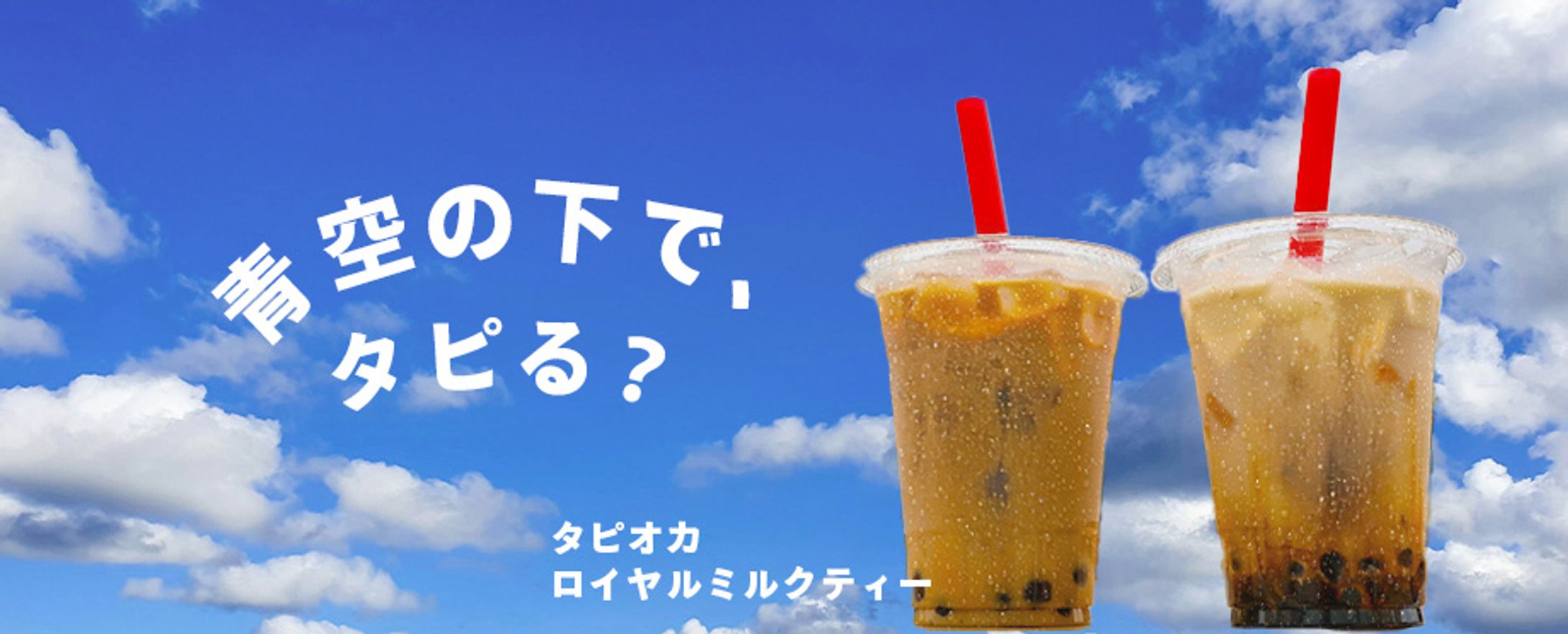 タピオカドリンクバナー-1