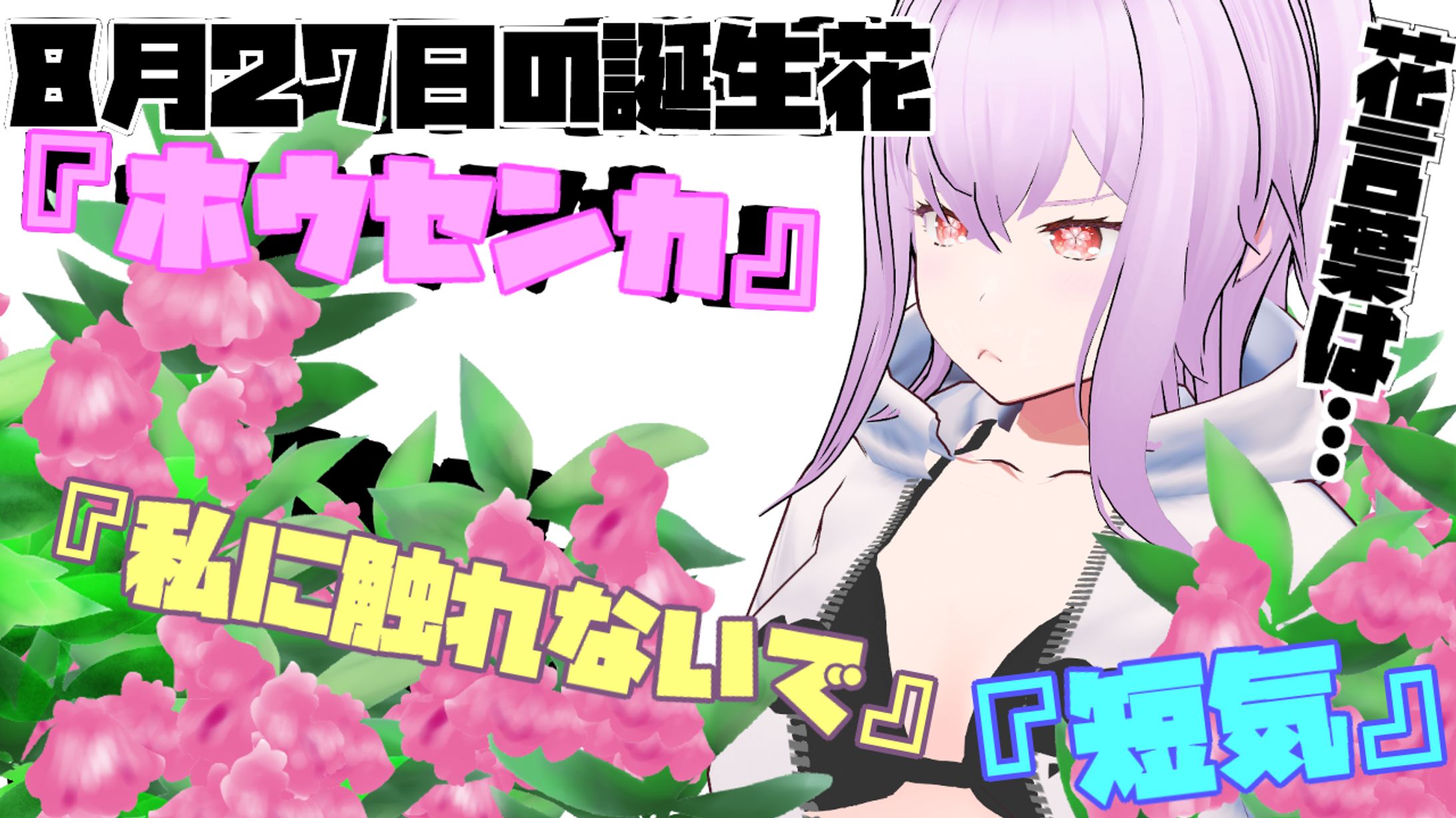 8月27日-1