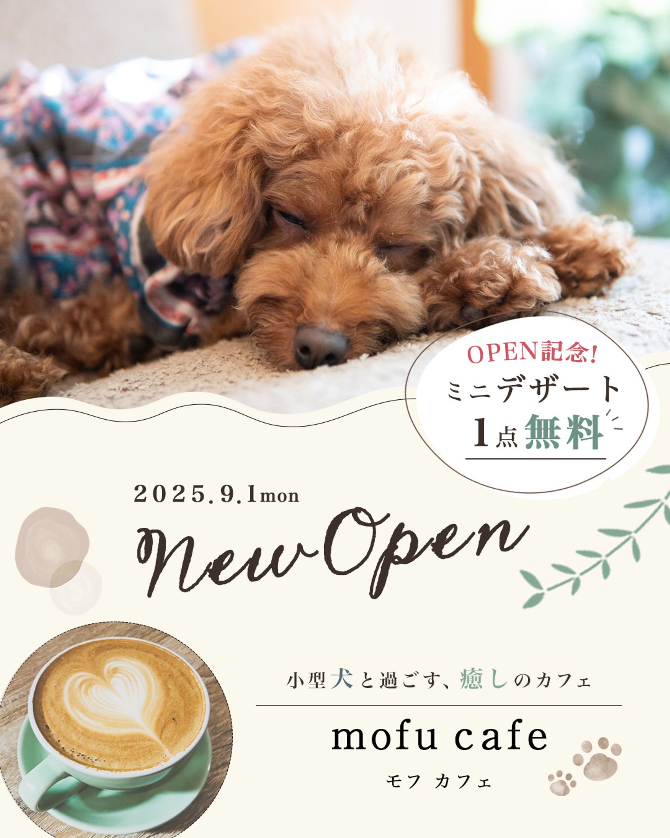 ドッグカフェOPEN用Instagramバナー-1