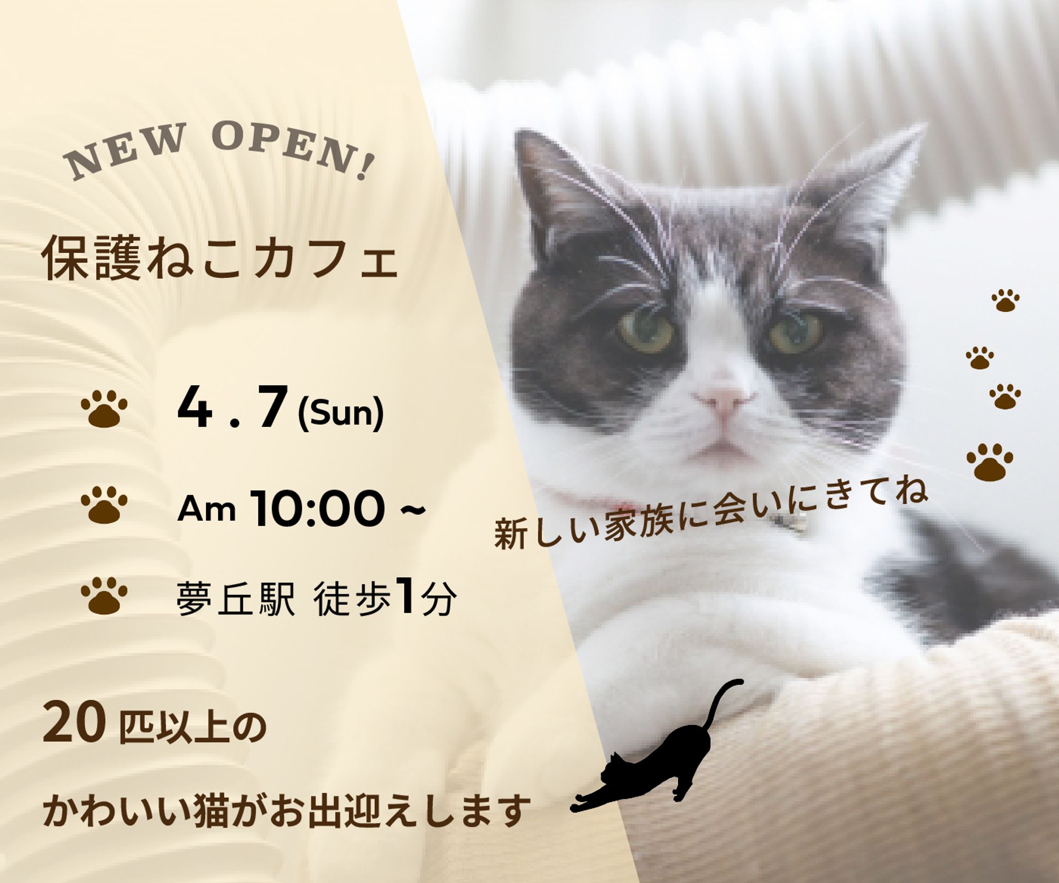 bnr nekocafe portfolio-1