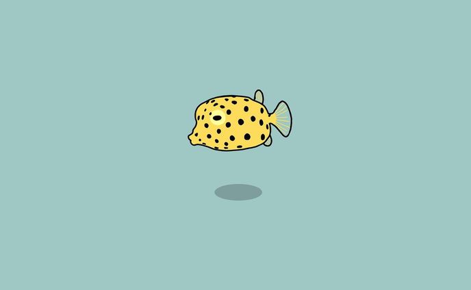 グラフィックデザイナー、海の生き物