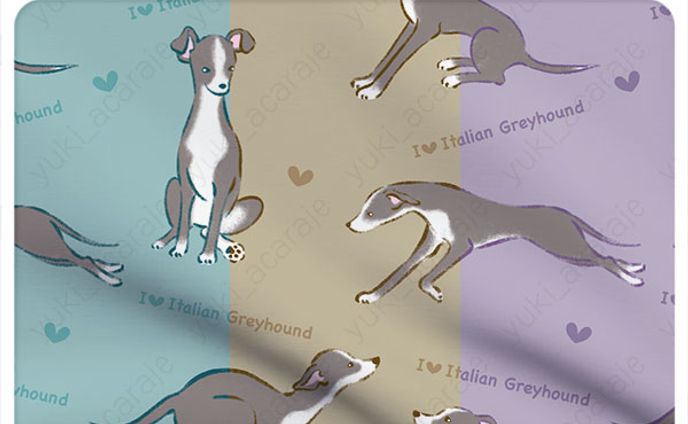 I LOVE Italian Greyhound