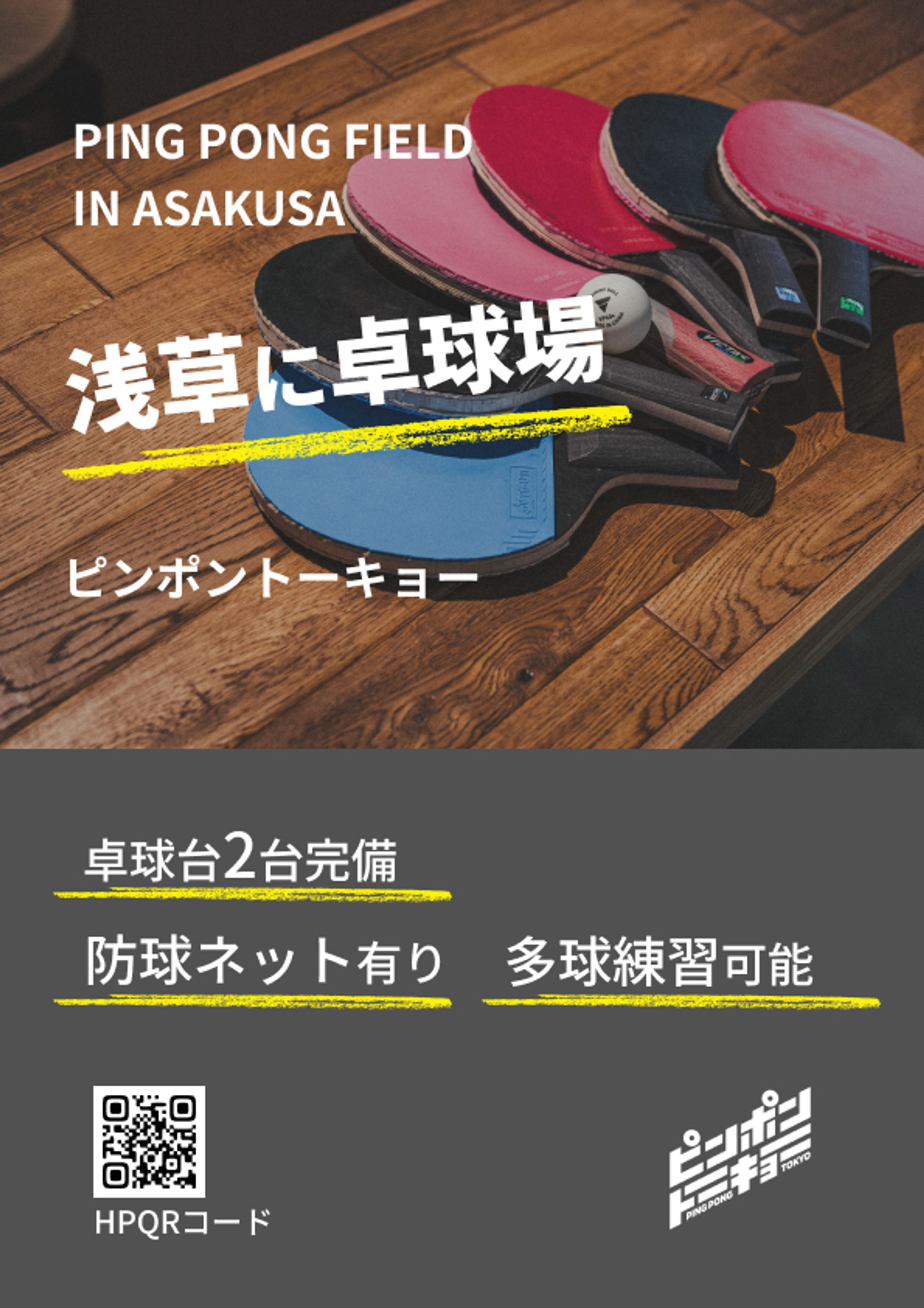 チラシ_ピンポントーキョー（架空案件）-1