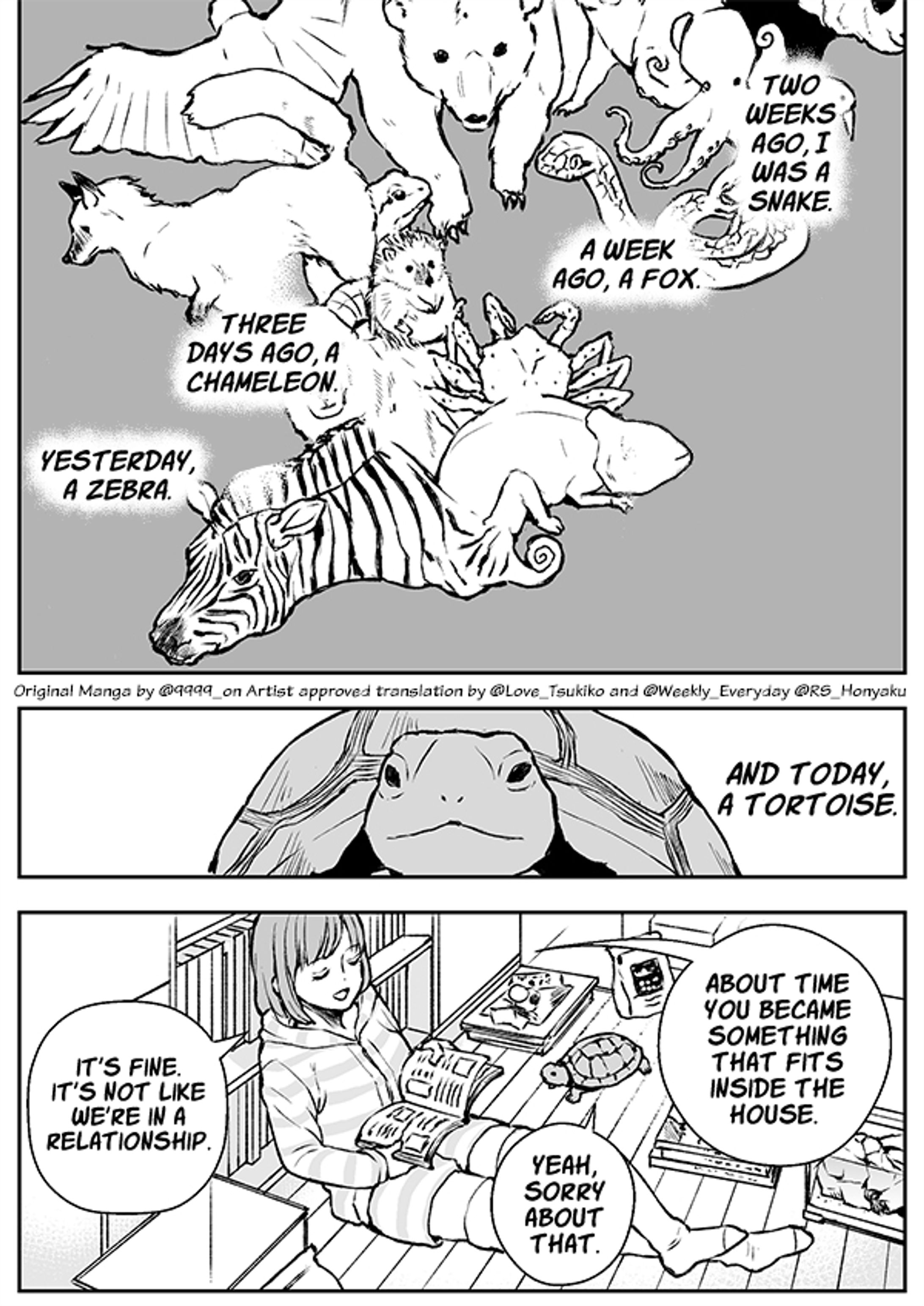 Metamorphosis-1