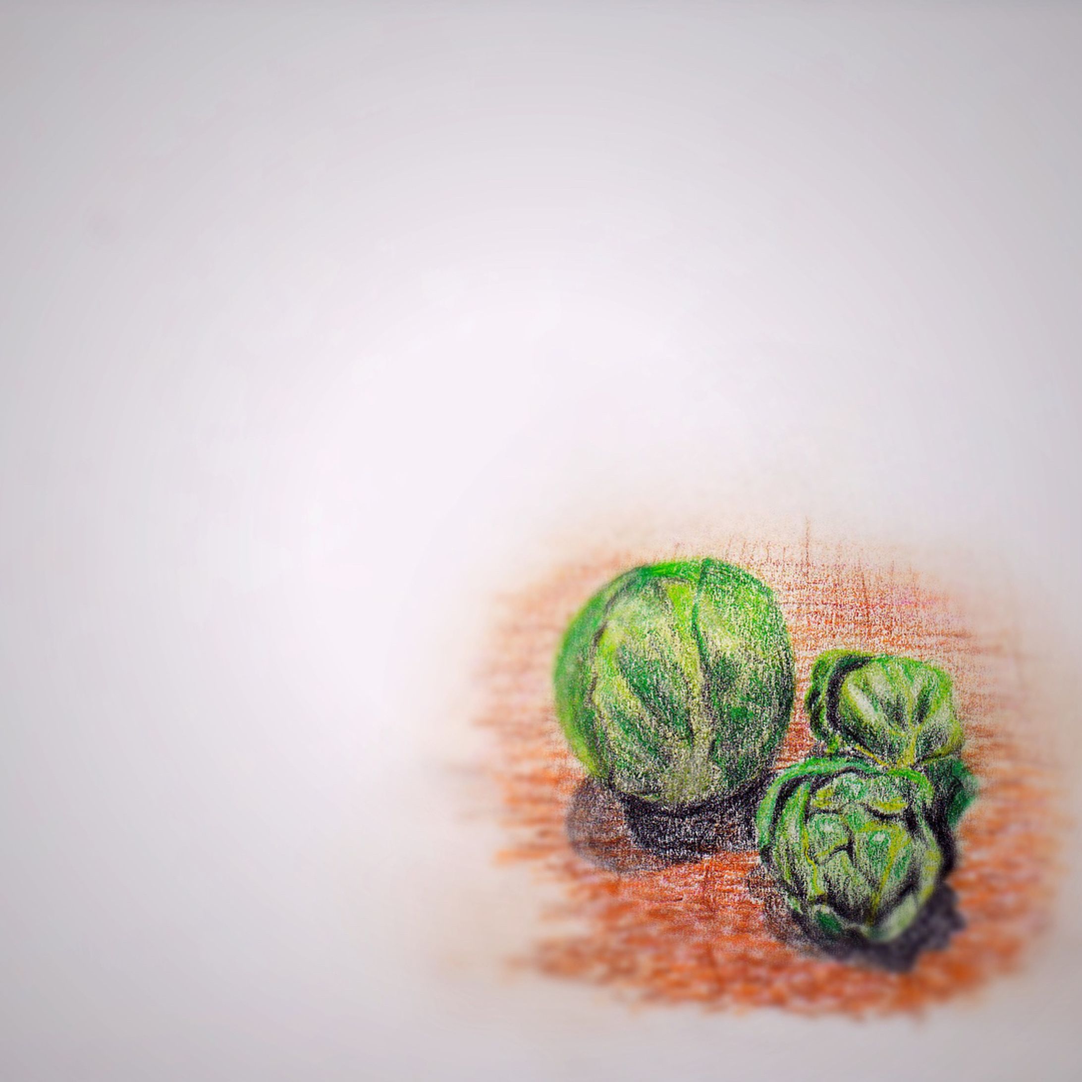 芽キャベツを添えてみます。

#色鉛筆 #絵 #模写 #芽キャベツ #イラスト #イラストレーター #ペイント #ペインティング #ドローイング  #落書き #フォロー

#pencildrawing #illust #chou de Bruxelles #illustration #illustrator #paint #painting #draw #art #artist #sketch #followme-1