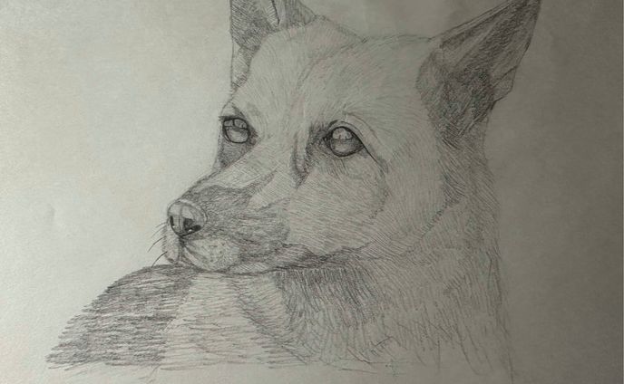 犬落書き