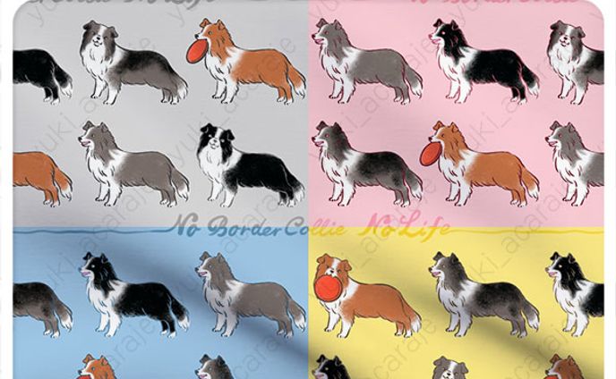 No Border Collie No Life