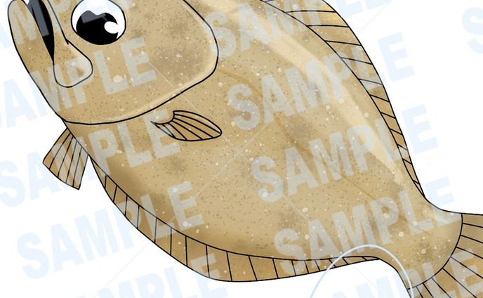 2023　ポートフォリオ④

ココナラにてご依頼いただいておりました、資料用のデフォルメヒラメイラスト先日1件納品させていただきました！この度はご依頼いただきありがとうございました！

ココナラ：http://coconala.com/users/2133939/
#魚　#イラスト　#魚イラスト　#イラストオーダー　#ココナラ　＃ヒラメ