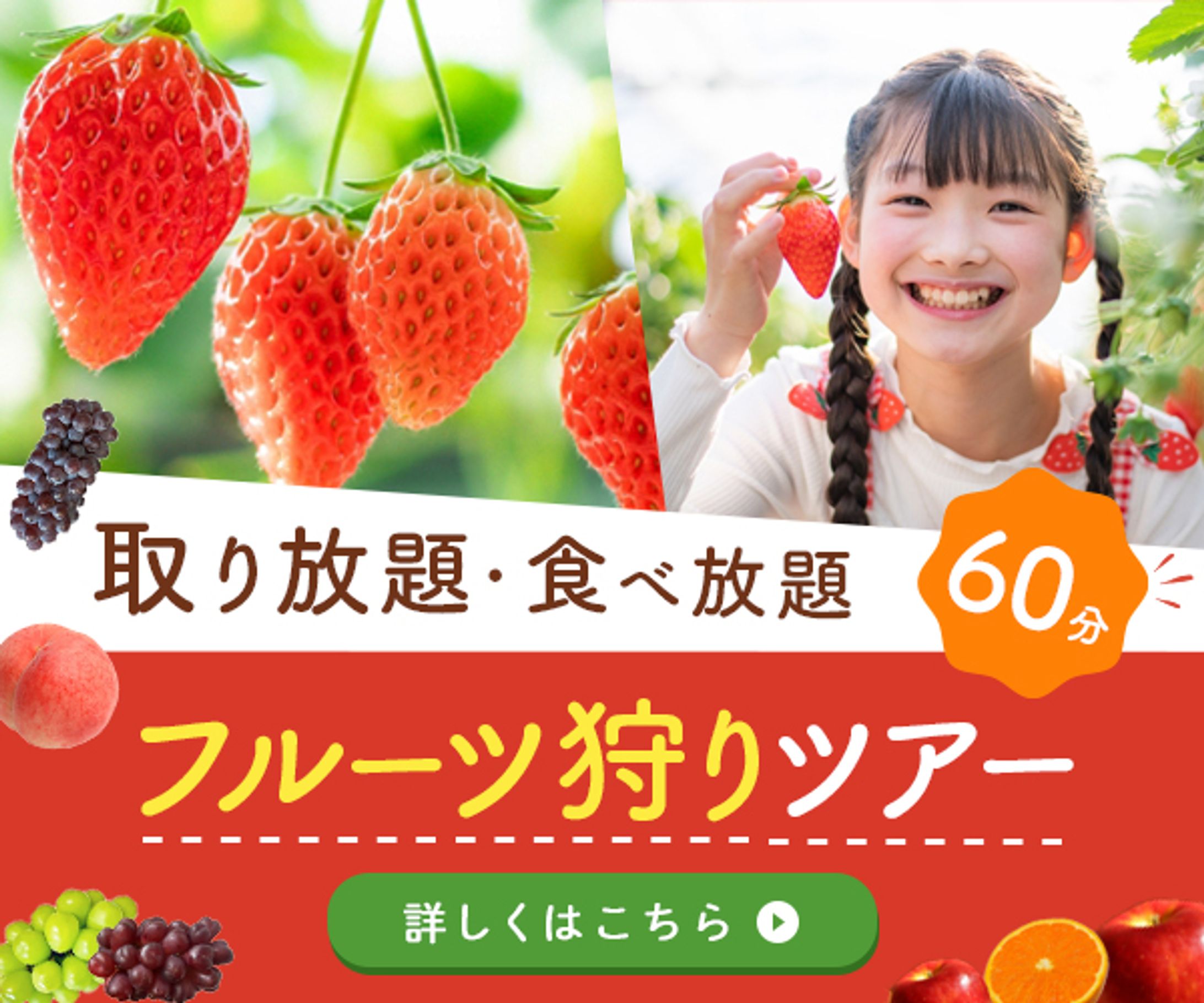 バナー：フルーツ狩り-1