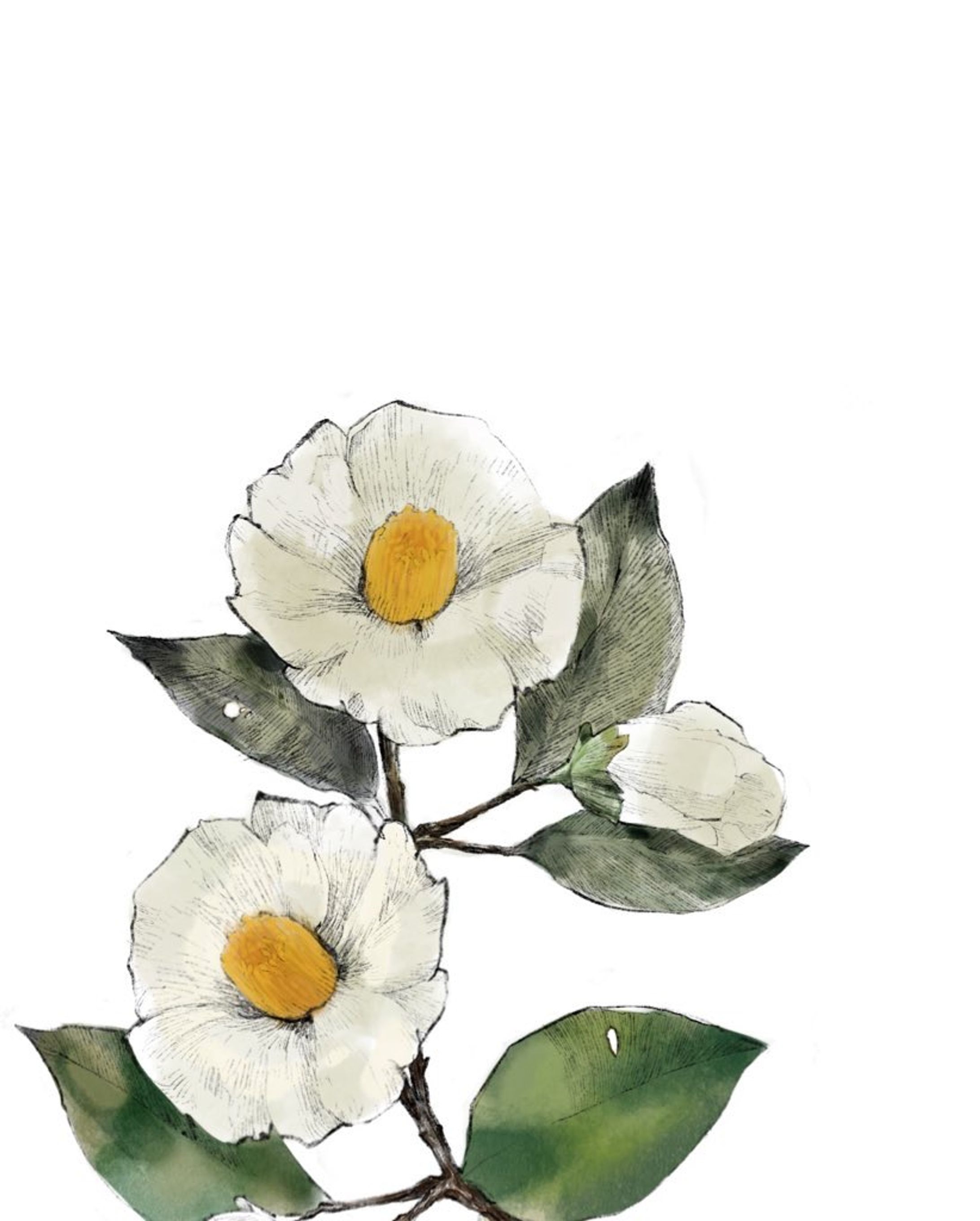 静物画 花 -1