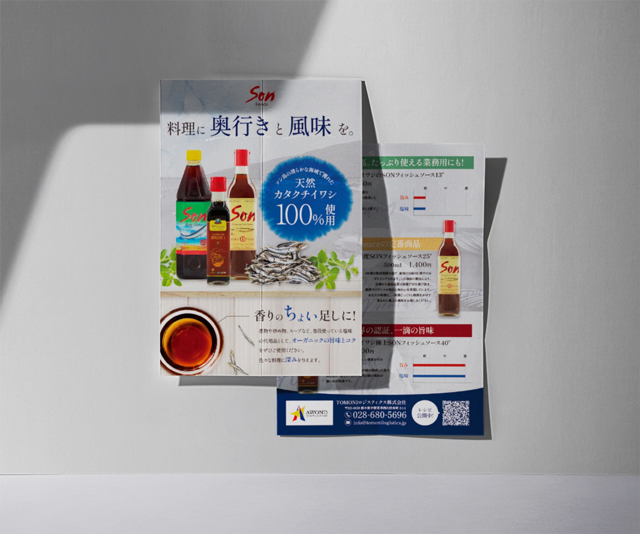 【提案】TOMONIロジスティックス株式会社様　チラシ-1