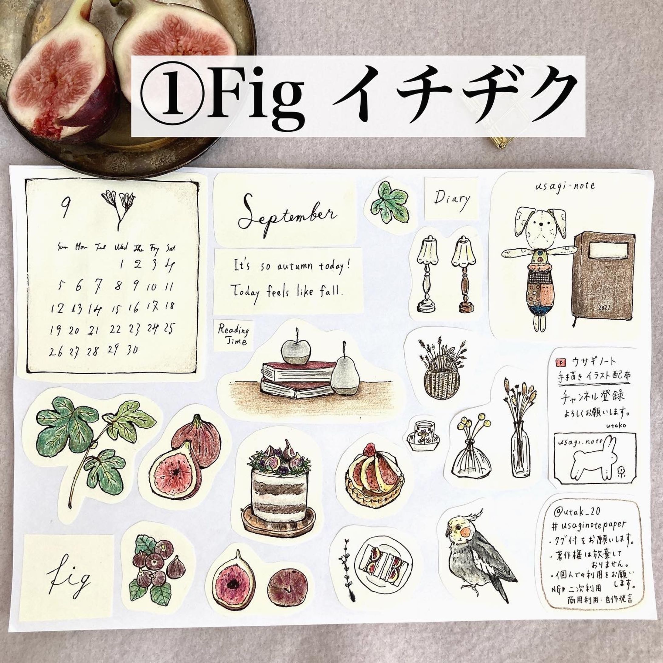 『いちじくと秋のイラスト』-1