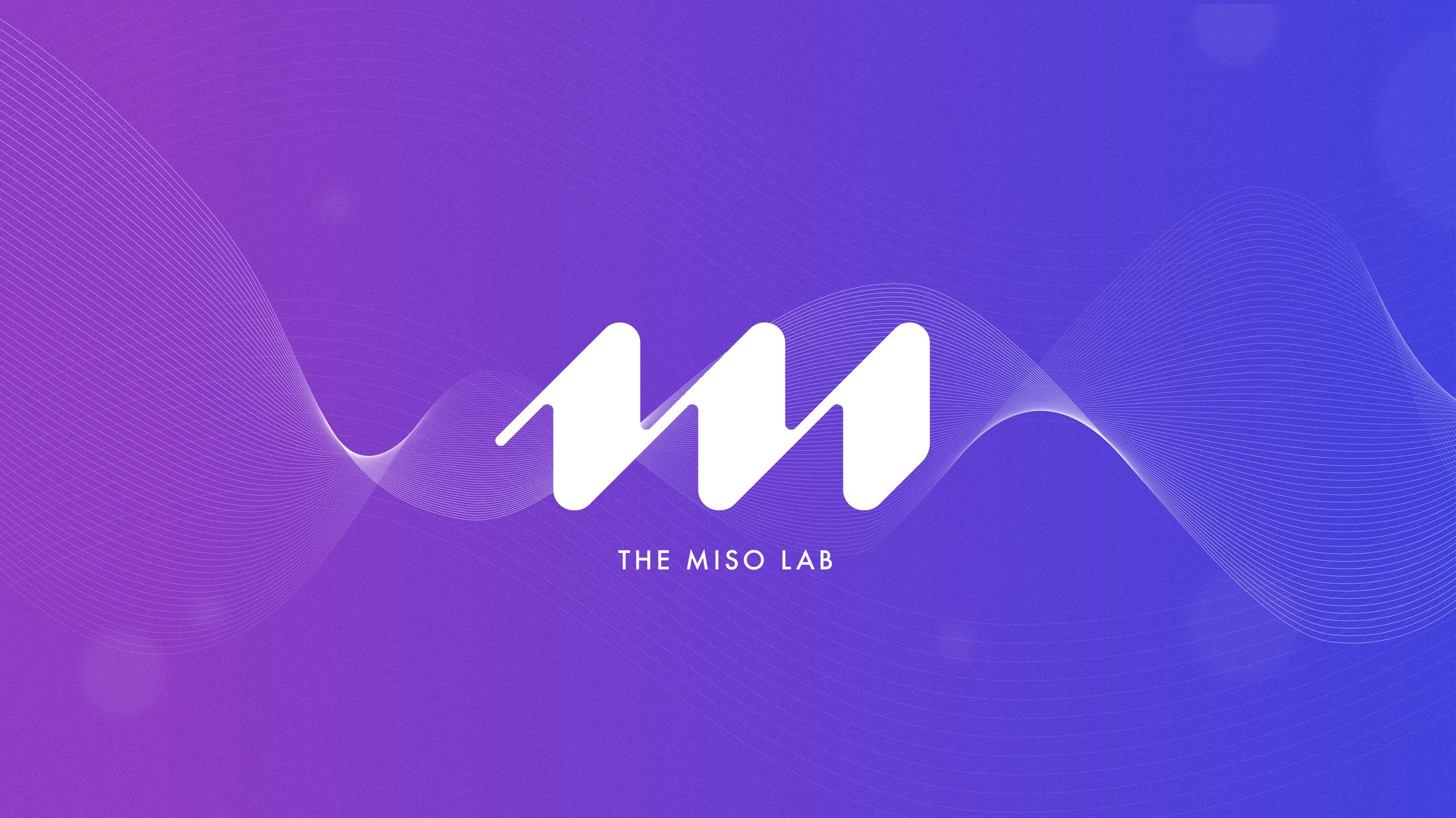 The Miso Lab-1