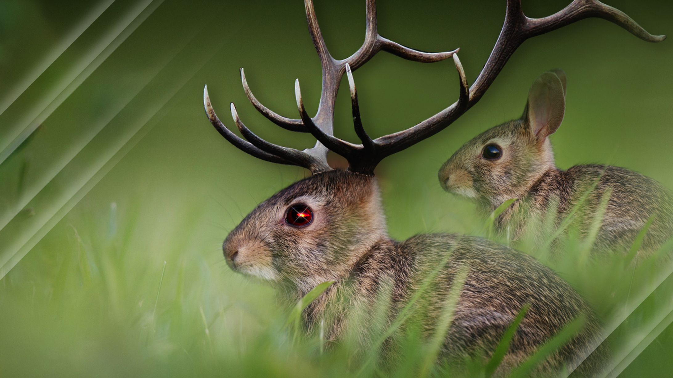 コラージュ ウサギとトナカイ-1