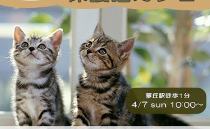 保護猫カフェオープンバナー