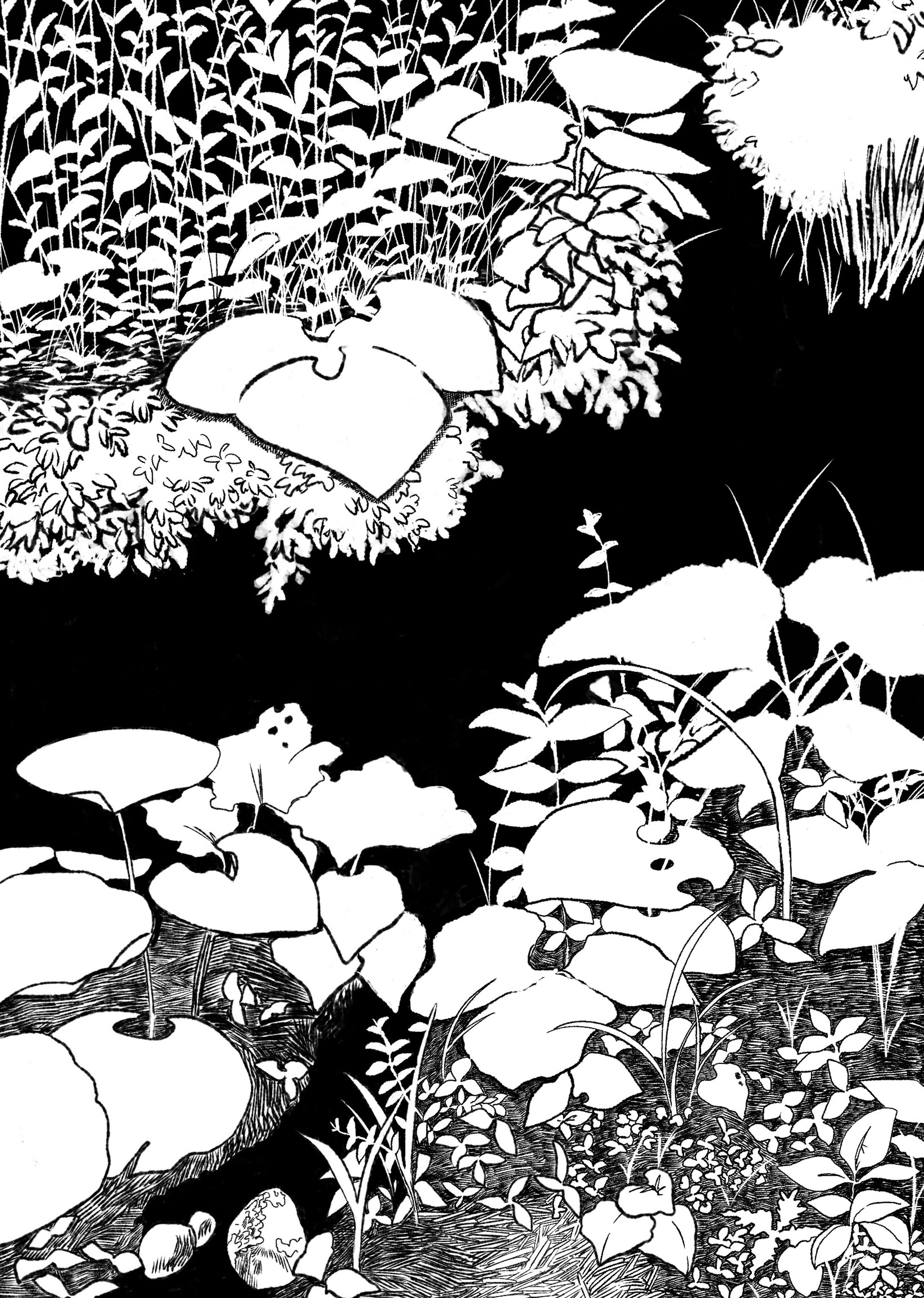 表紙イラストレーション-1