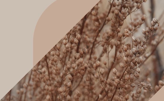 SNSクリエイティブ⑱