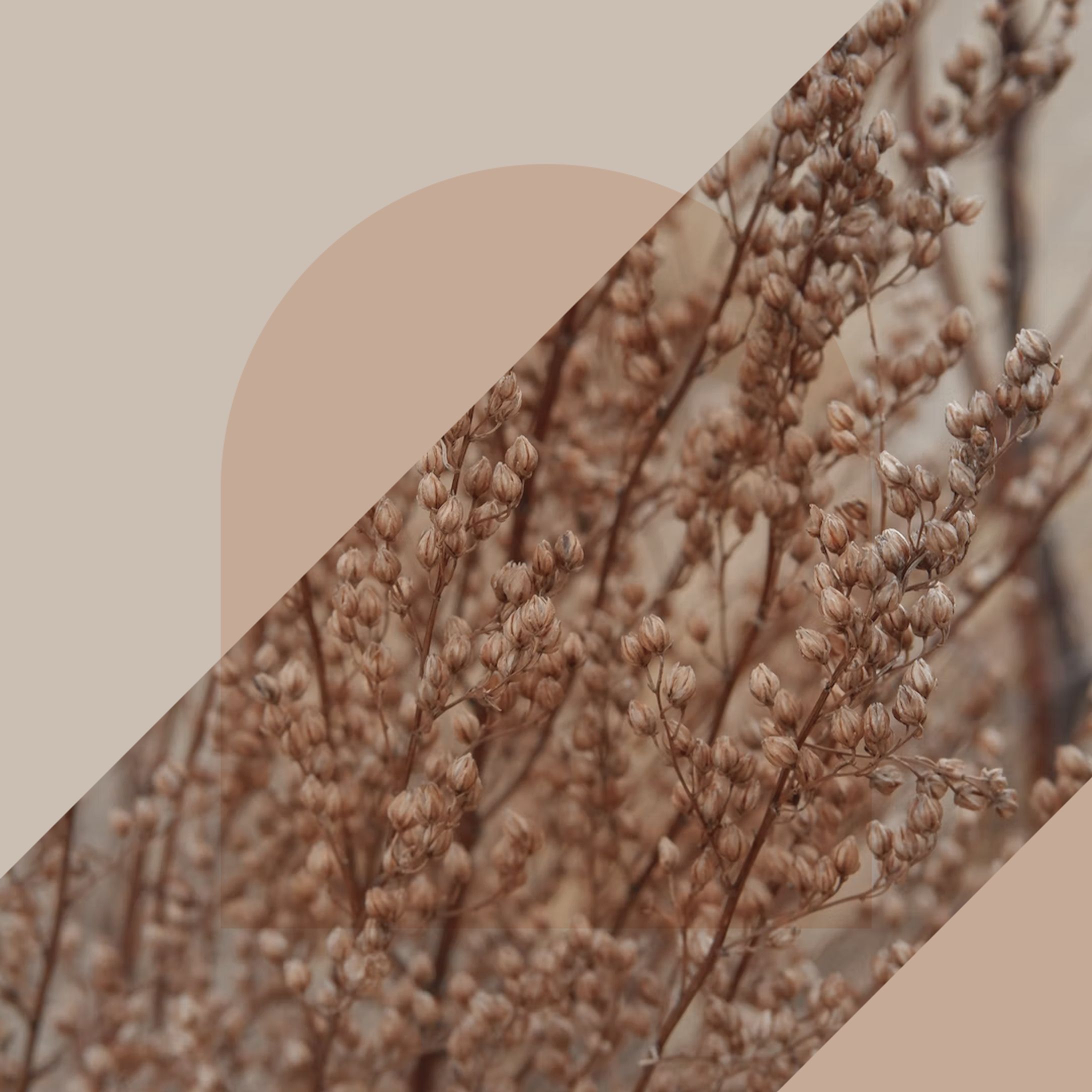 SNSクリエイティブ⑱-1