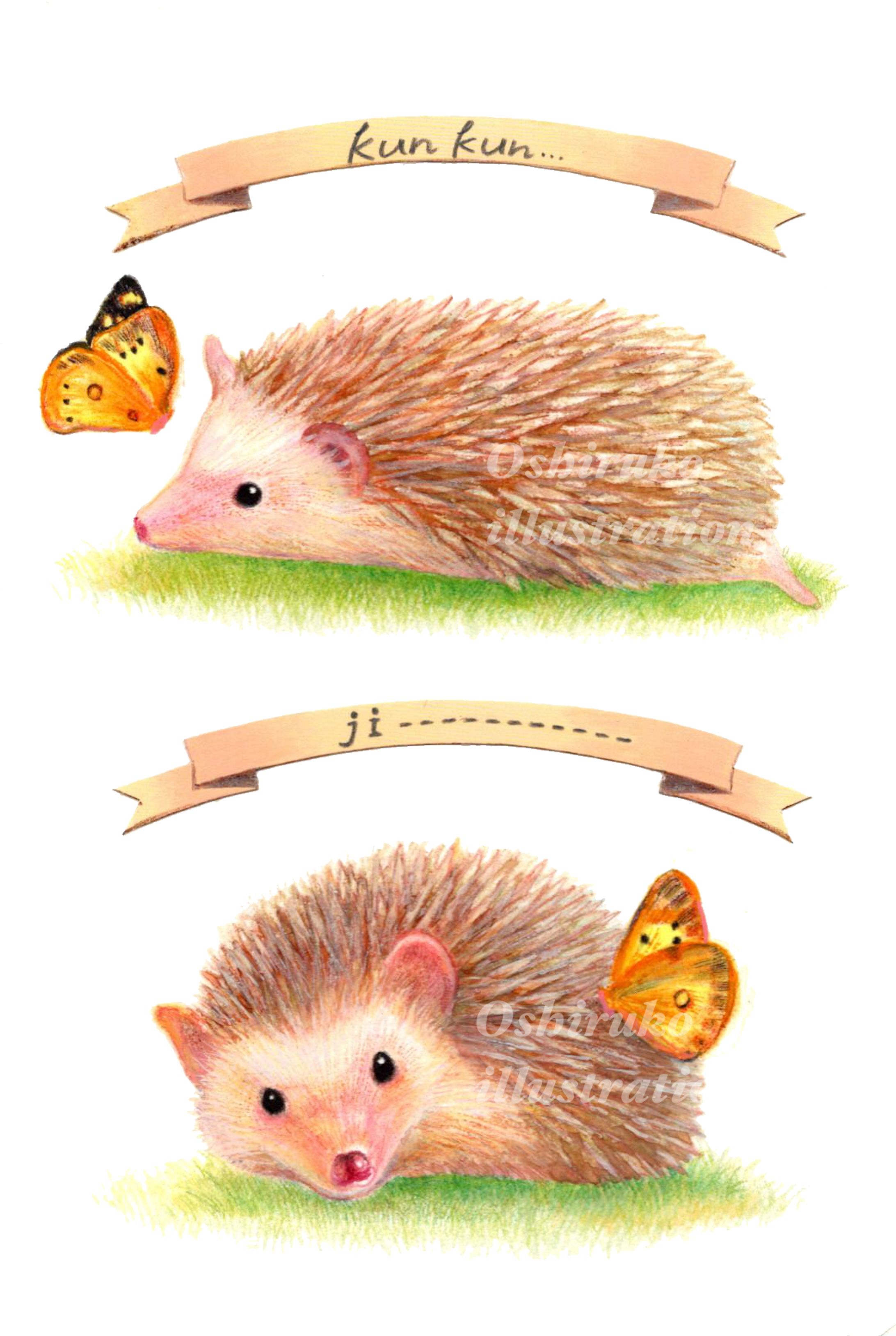 「クンクン」「ジーー」ハリネズミのむーくん｜色鉛筆イラスト-1