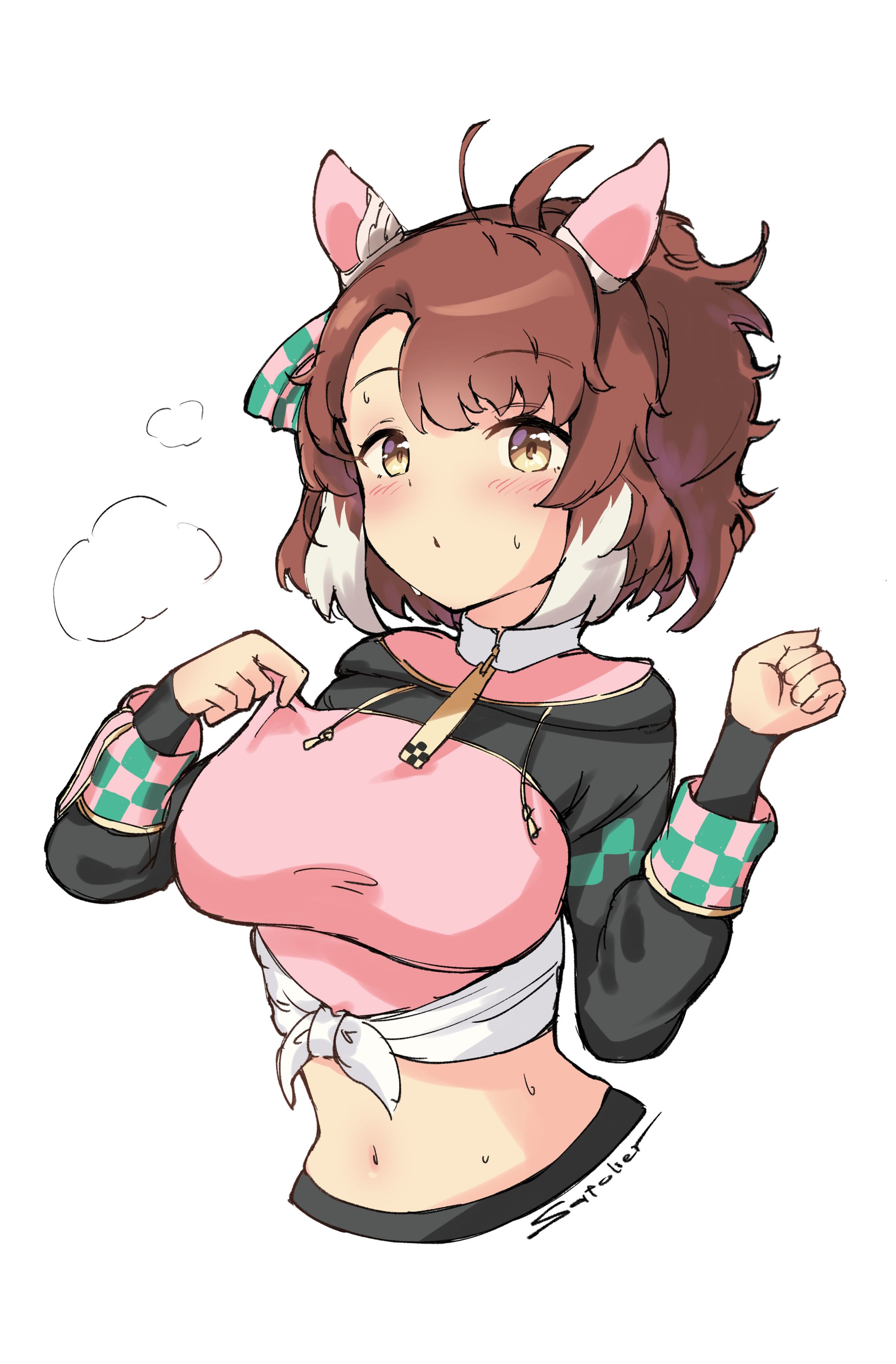 ダンツフレームrkgk-1