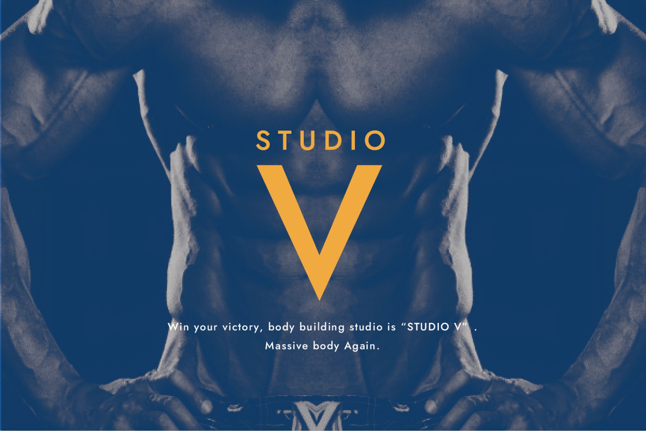 Studio V-1