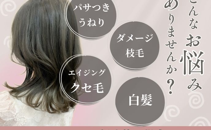 【Canva】サロンドリュクス様