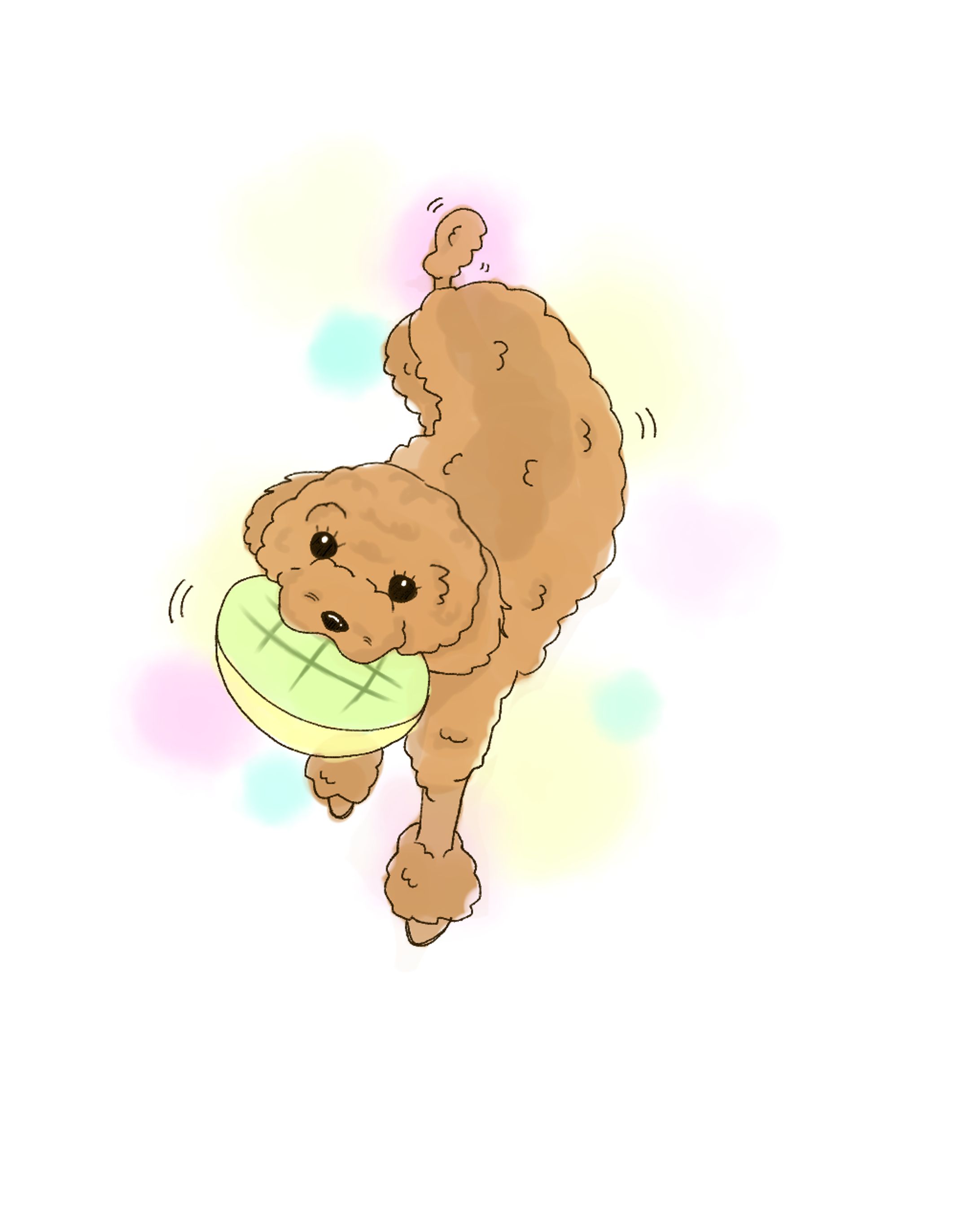 デジタルイラスト -1