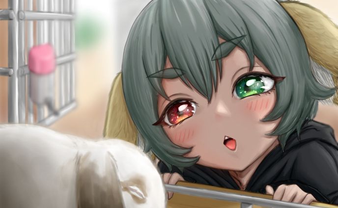 うさぎさんとウサギ(二次創作、FA)