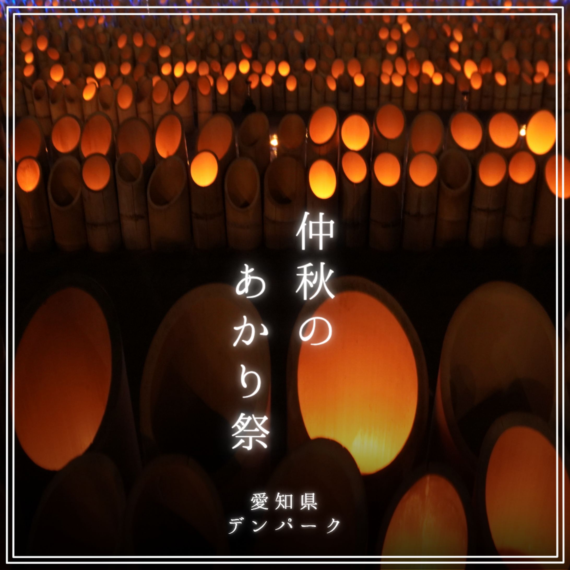 SNS 仲秋のあかり祭-1