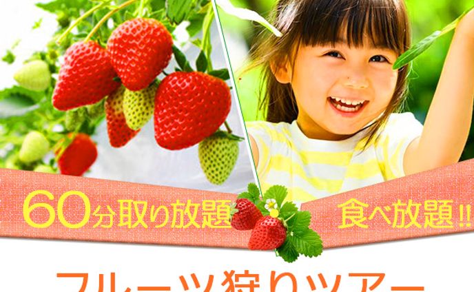 photo、フルーツ